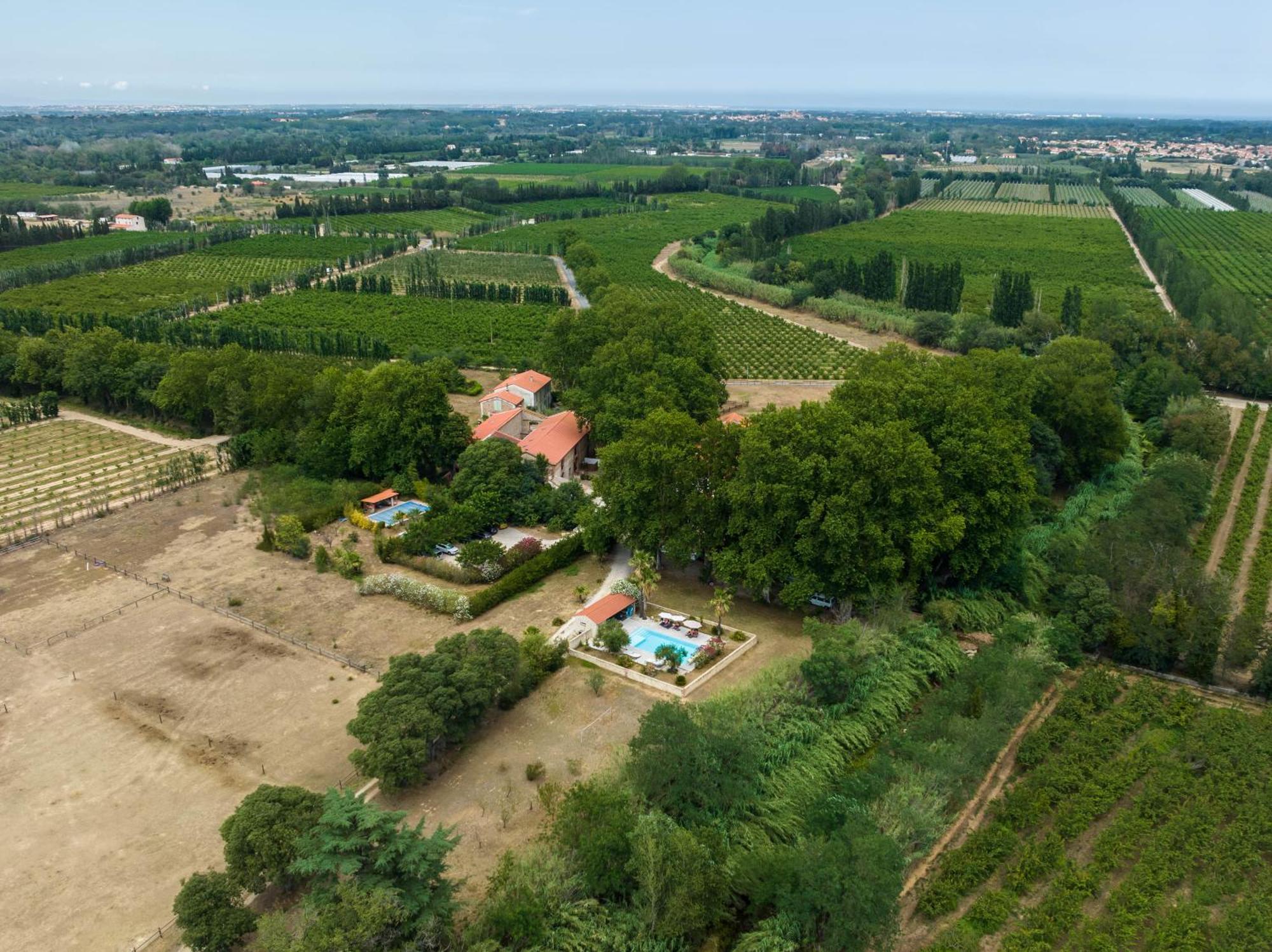 Bed and Breakfast Domaine Castell de Blés à Saint-Génis Extérieur photo